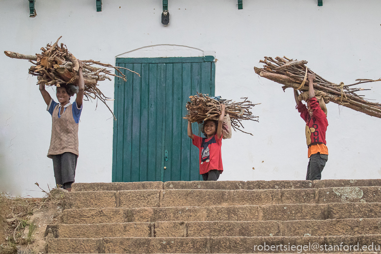 Carrying sticks